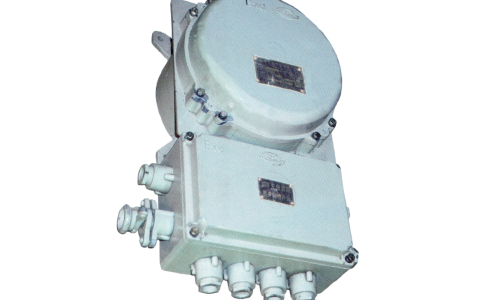 BDK(2)61-20隔爆型电气控制箱BDK(2)61-20防爆型电器控制箱
